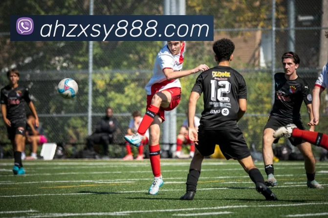 bobapp官网下载ios平台生态图